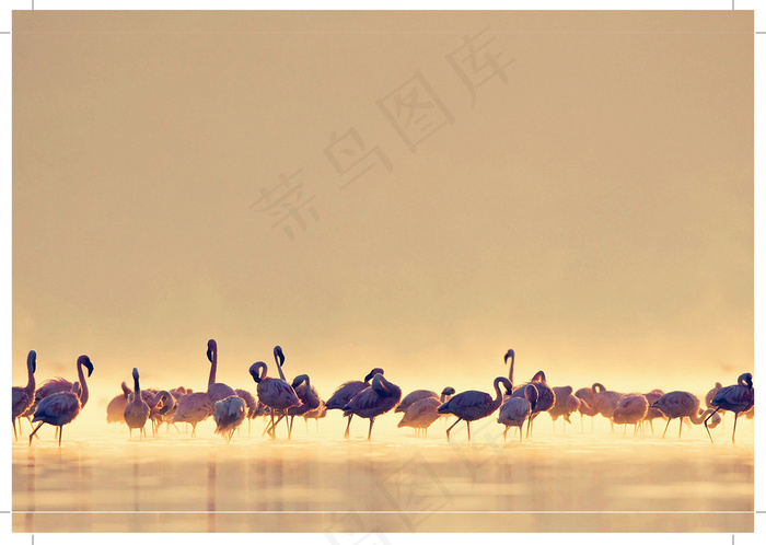 装饰画|客厅|海报画|电表箱装饰画|挂画