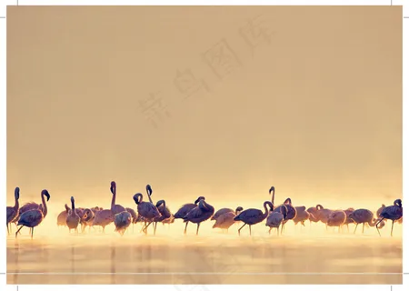 装饰画|客厅|海报画|电表箱装饰画|挂画