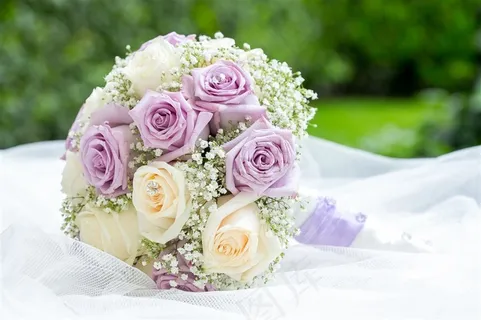 唯美玫瑰花花束鲜花图片