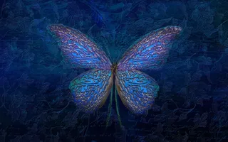 创意蝴蝶背景图片