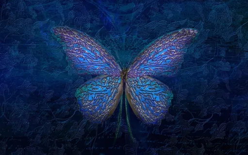 创意蝴蝶背景图片 创意蝴蝶背景图片