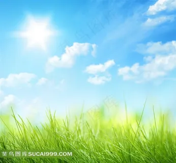 蓝天下的草地景色 蓝天下的草地景色
