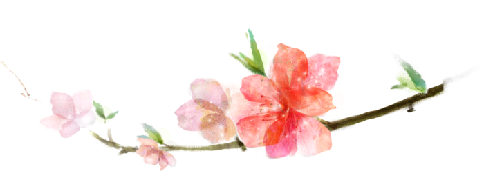 粉色简约风手绘鲜花花朵水墨画PNG素材图片 (105)