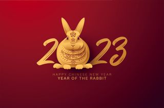 兔年素材 新年素材
