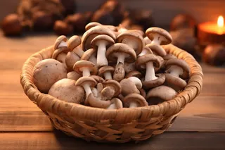 新鲜采摘的蘑菇蔬菜摄影图