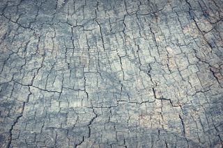 裂纹木纹背景图片