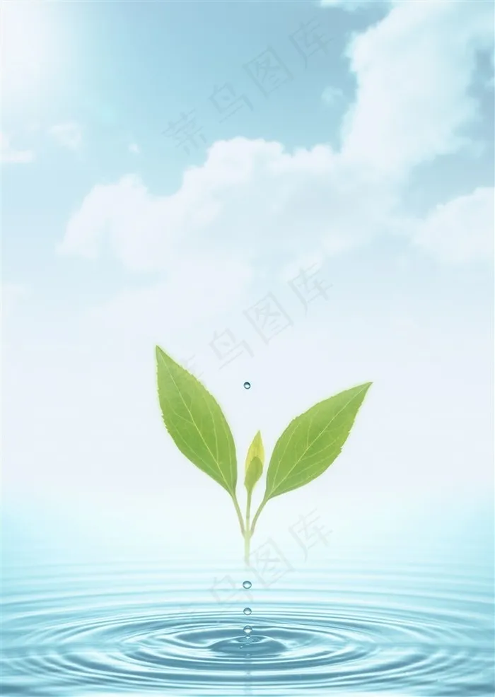 清新滴水叶子 清新滴水叶子