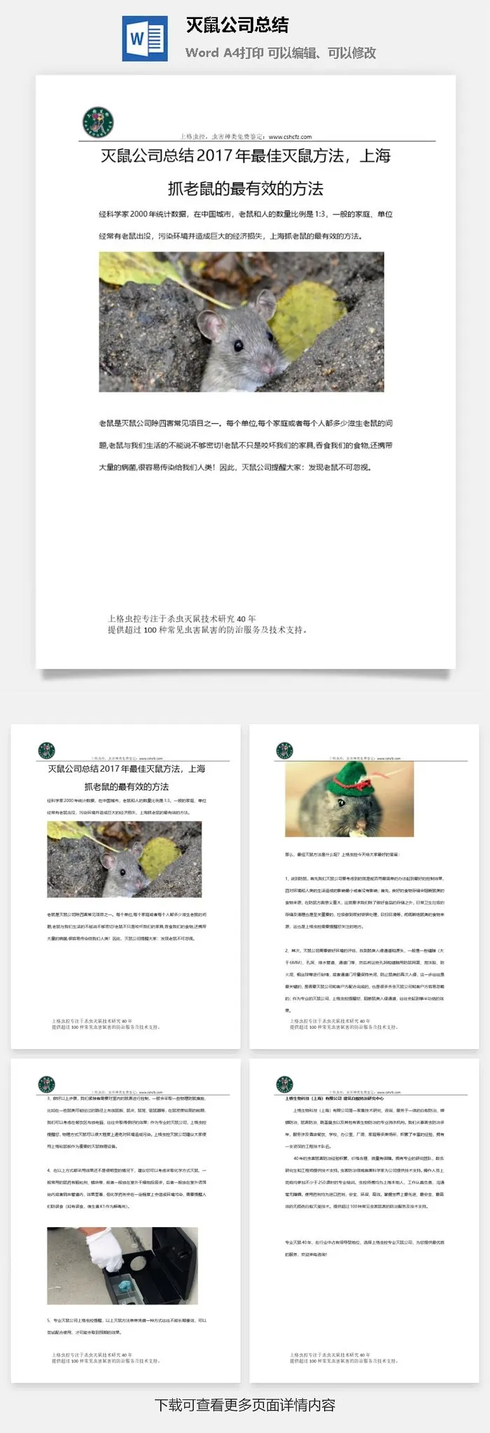 灭鼠公司总结word模板