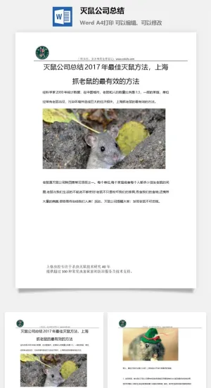 灭鼠公司总结word模板