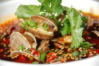 LCH2985川式花蚬子