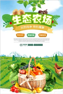 生态农场有机蔬菜 生态农场有机蔬菜