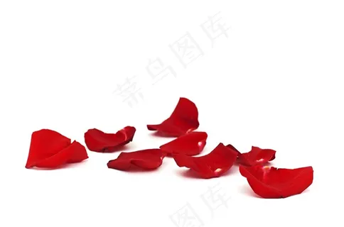 红色玫瑰花瓣装饰图层叠加高清素材