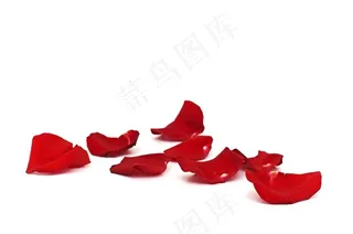 红色玫瑰花瓣装饰图层叠加高清素材