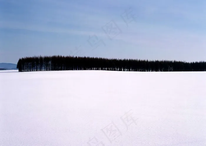 冰天雪地 278