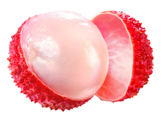 免抠荔枝，矢量，产品实物，PNG素材，荔枝，荔枝水果，荔枝肉，新鲜荔枝