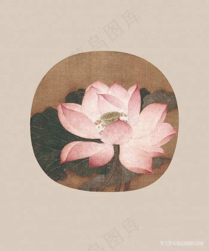 仟象古韵国画莲花荷花