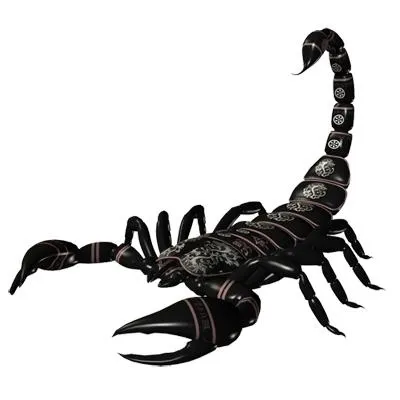 蝎子 PNG免抠(400x400)