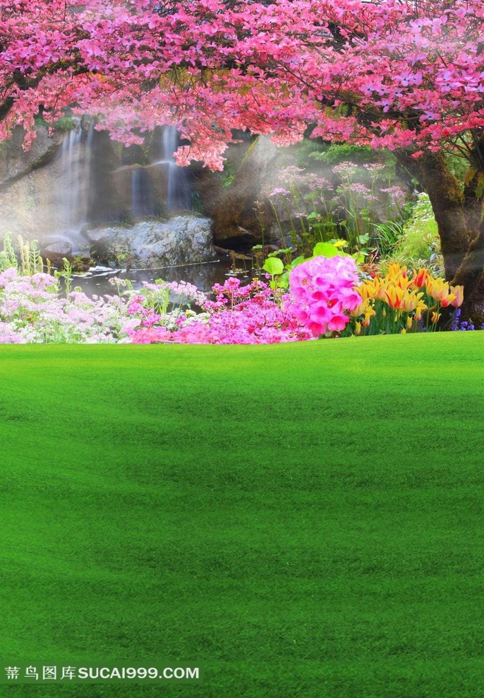 樱花树下草地图