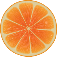 107_orange_PNG748