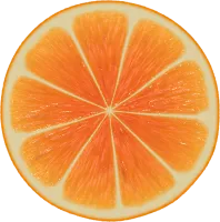 107_orange_PNG748