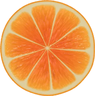 107_orange_PNG748
