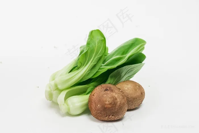 新鲜蔬菜上海青高清图片