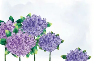 紫色浪漫风淡雅简约梦幻插画插图水墨油画名片海报背景图片素材