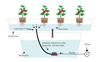 水培种植现代农业