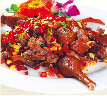 J04-0123  神龙五味鸭