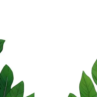 叶子绿叶花草免抠