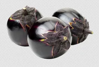 圆茄子免扣素材