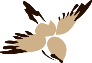 简约风手绘素描动画小鸟鸟儿免扣PNG图片素材 (79)