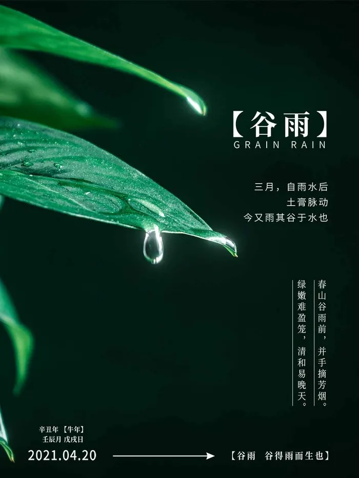 谷雨 谷雨活动海报psd模版下载