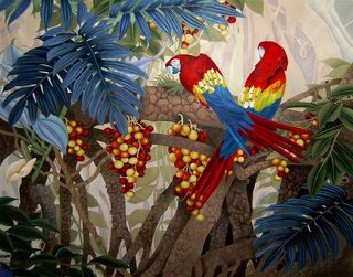 神秘梦幻炫彩唯美大自然森林树木彩色鹦鹉小鸟动物高清摄影图