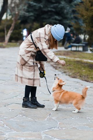女孩与宠物狗图片