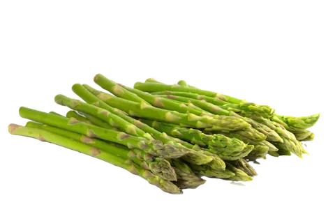 芦笋 (9)超市商品白底图免抠实物摄影png格式图片透明底