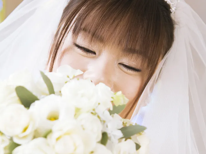图片设计素材背景鸟语花香