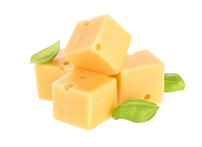 芝士奶酪美食素材