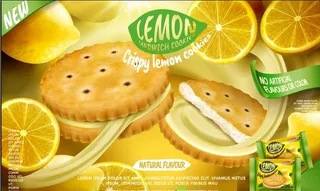 设计广告水果饼干