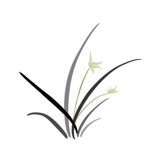 新中式风格兰花手绘装饰免扣图