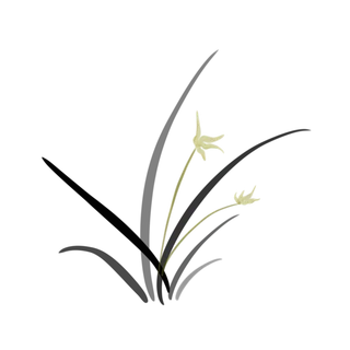 新中式风格兰花手绘装饰免扣图