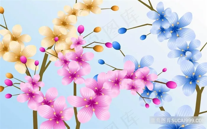 唯美花卉图片