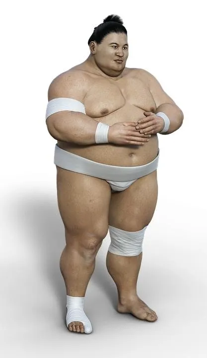 相扑 PNG免抠(417x720)