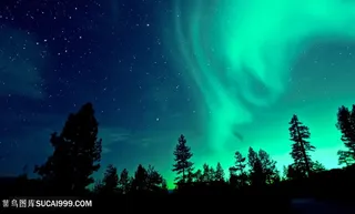 森林与绿色极光高清图片