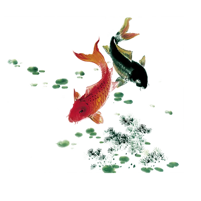 鱼古典元素传统