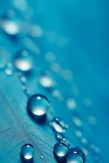 露珠蓝色清新大气背景
