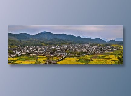 农村全景油菜花田野