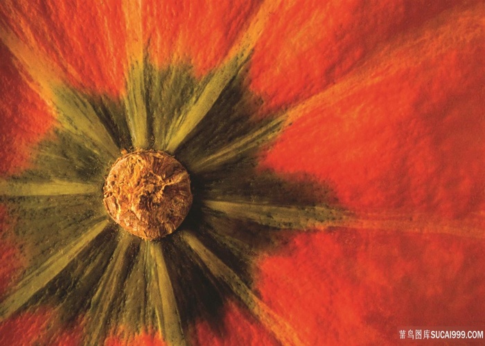 树叶时尚艺术油画