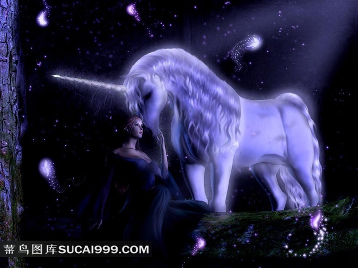 手绘白色骏马性感美女插画