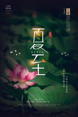 简约时尚小清新夏至节日海报